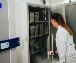 -20 / -70 degrees freezer